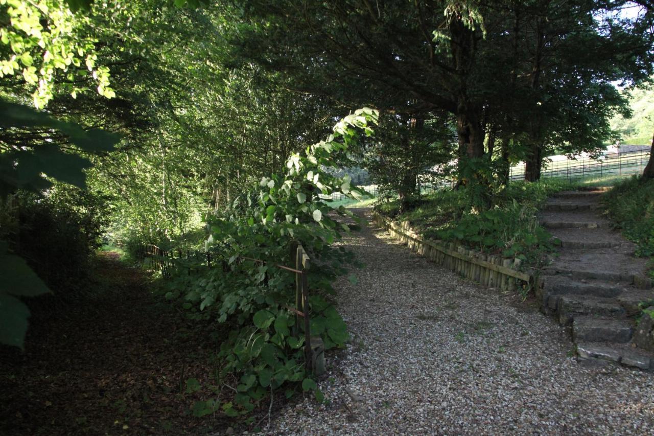 Spacious Home In Bath, Nature And City! Exteriör bild