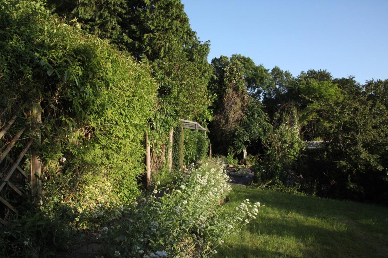 Spacious Home In Bath, Nature And City! Exteriör bild
